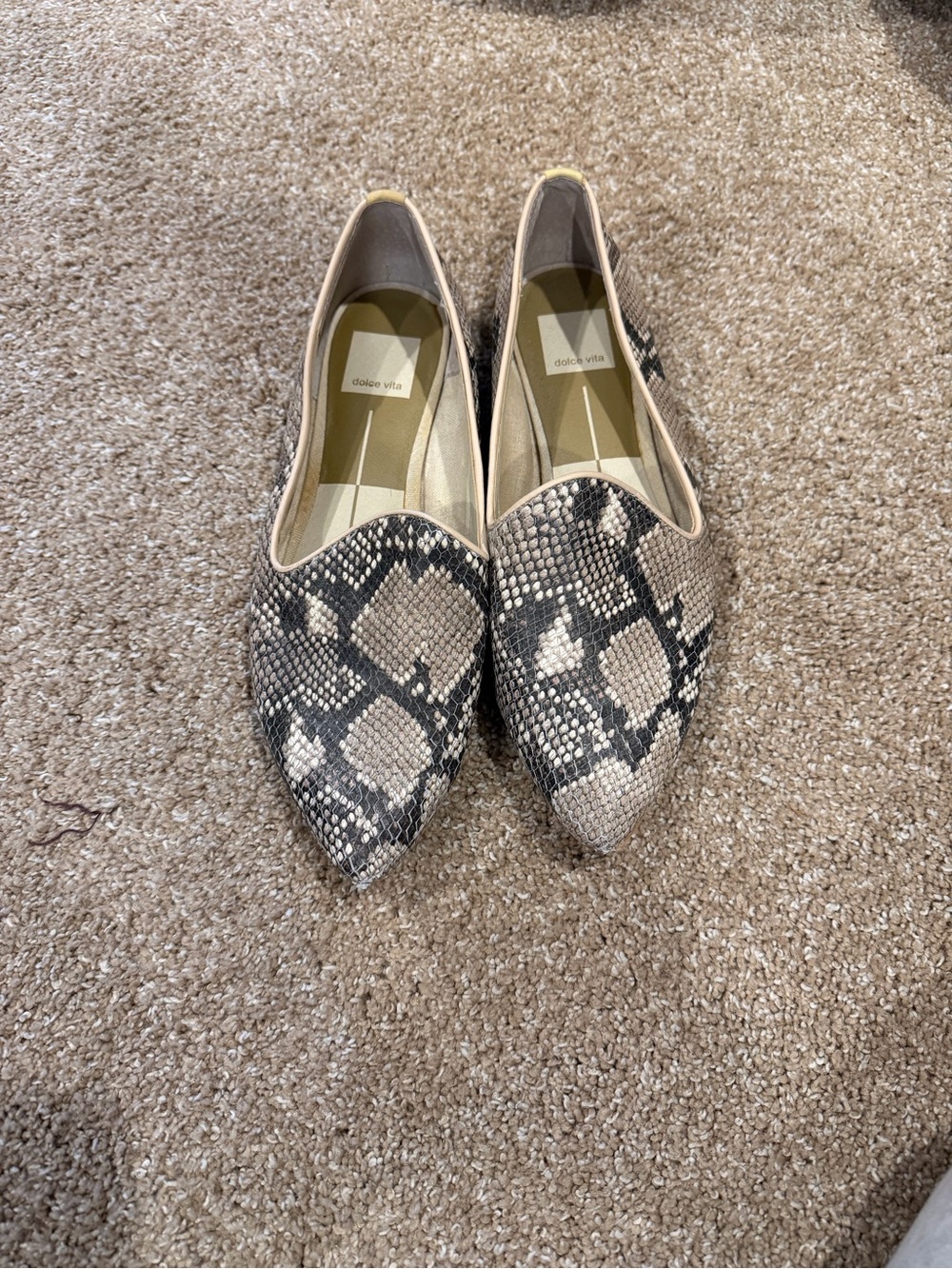 Dolce Vita Women's Snake-Print Pointed Loafers